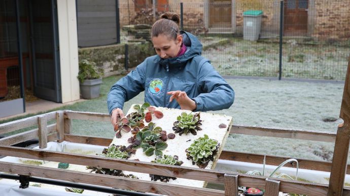 A 33 ans, Noémie Charpentier – ingénieure de formation et expérimentée en gestion de production industrielle et systèmes d’organisation - s’installe à Chaumoussey dans les Vosges (Lorraine), dans la ferme de ses grands-parents). ©Noémie Charpentier